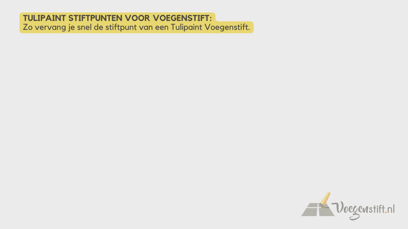 Voorbeeld-video-vervangen-stiftpunt-Tulipaint-Voegenstift.